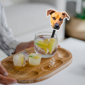 Custom Drink Stirrers with Face Birthday Stir Sticks Wedding Drink Stirrers Dog Cat Drink Stirrers