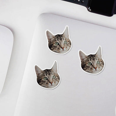 Custom Face Stickers Custom Stickers with Picture