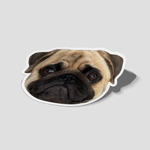 Custom Pet Face Stickers Custom Dog Stickers Cat Stickers