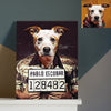 Custom Canvas with Pet picture Custom Pet Framed Canvas