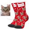 Personalized Cat Photo Socks with Picture and Text