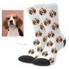 Dog Photo Socks Custom Pup Socks