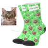 Cat Photo Socks with Text Cat Face on Socks