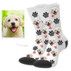 Dog Photo Socks Dog Face Socks Dog Photo on Socks